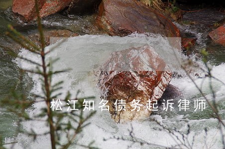 松江知名债务起诉律师