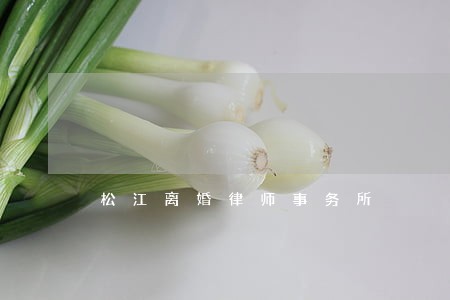 松江离婚律师事务所 松江离婚律师事务所
