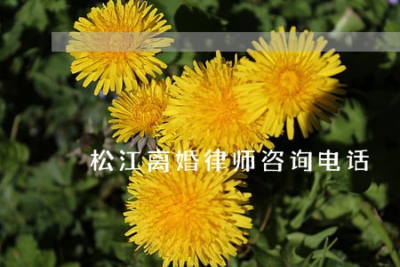 松江离婚律师咨询电话 松江离婚律师咨询电话