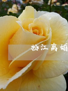 松江离婚律师咨询费用 松江离婚律师咨询费用