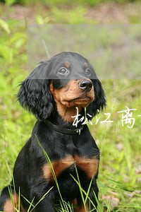 松江离婚房产分割律师联系方式