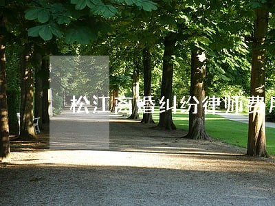 松江离婚纠纷律师费用 松江离婚纠纷律师费用