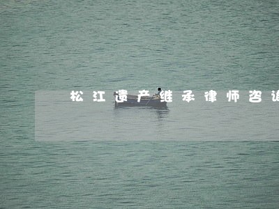 松江遗产继承律师咨询 松江遗产继承律师咨询