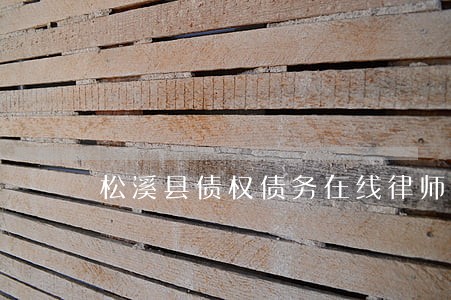 松溪县债权债务在线律师 松溪县债权债务在线律师