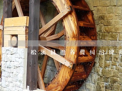 松溪县赡养费纠纷律师 松溪县赡养费纠纷律师