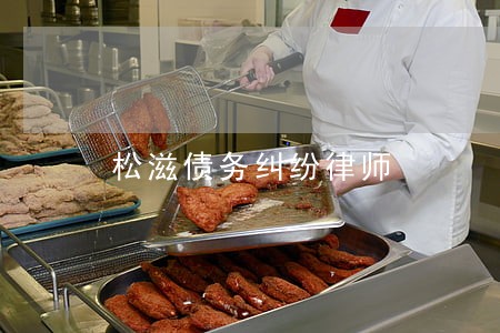 松滋债务纠纷律师 松滋债务纠纷律师