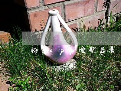 松紧app逾期后果 松紧app逾期后果