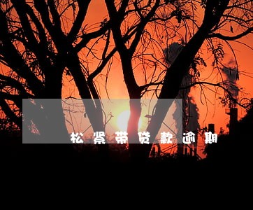 松紧带贷款逾期 松紧带贷款逾期