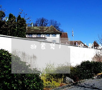 松紧贷1w逾期五天会怎么样 松紧贷1w逾期五天会怎么样