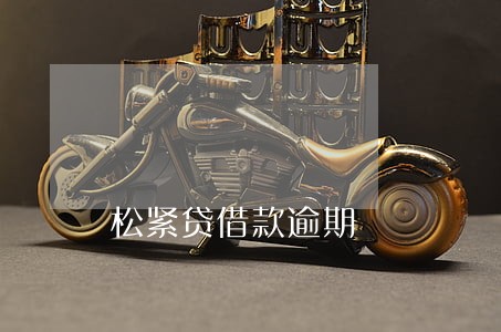 松紧贷借款逾期