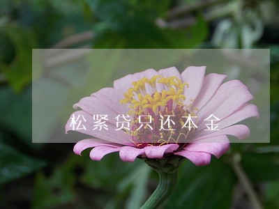 松紧贷只还本金 松紧贷只还本金