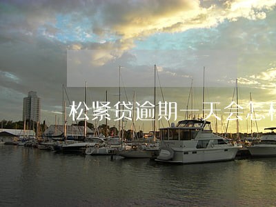 松紧贷逾期一天会怎样