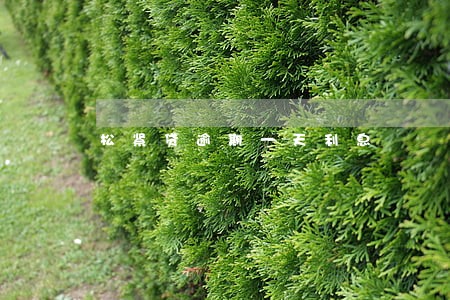 松紧贷逾期一天利息 松紧贷逾期一天利息