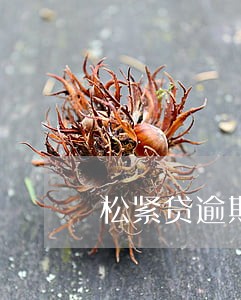 松紧贷逾期一天后果 松紧贷逾期一天后果