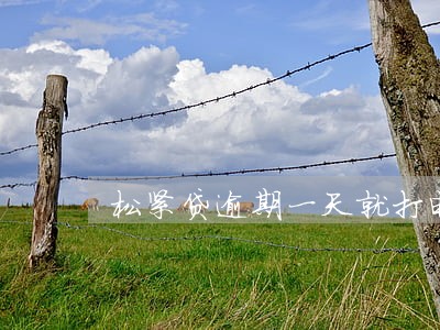 松紧贷逾期一天就打电话 松紧贷逾期一天就打电话