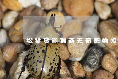 松紧贷逾期两天有影响吗 松紧贷逾期两天有影响吗