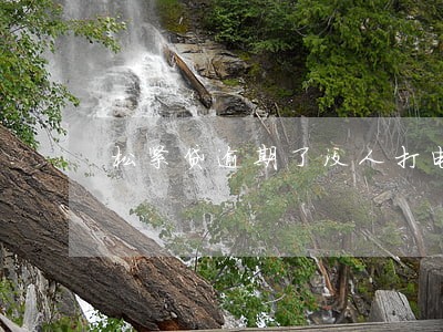 松紧贷逾期了没人打电话