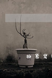 松紧贷逾期催收p图 松紧贷逾期催收p图