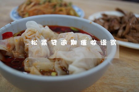 松紧贷逾期催收谩骂 松紧贷逾期催收谩骂