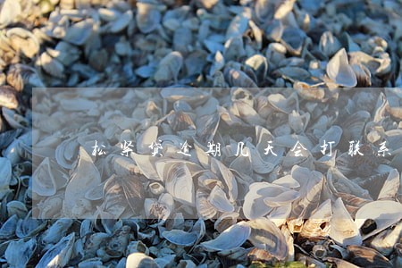 松紧贷逾期几天会打联系人 松紧贷逾期几天会打联系人