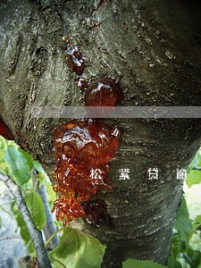 松紧贷逾期半天就打电话 松紧贷逾期半天就打电话