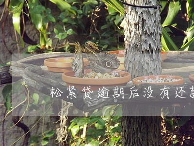 松紧贷逾期后没有还款账单了 松紧贷逾期后没有还款账单了