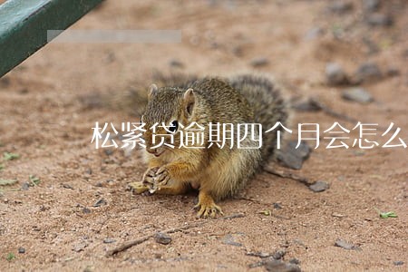 松紧贷逾期四个月会怎么样 松紧贷逾期四个月会怎么样