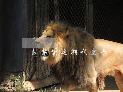 松紧贷逾期我爱卡 松紧贷逾期我爱卡