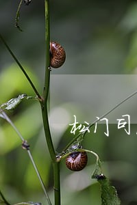 松门司法所电话 松门司法所电话