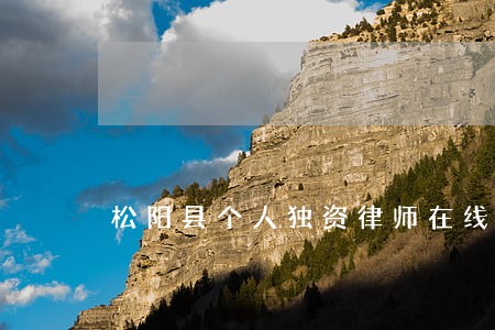 松阳县个人独资律师在线免费咨询