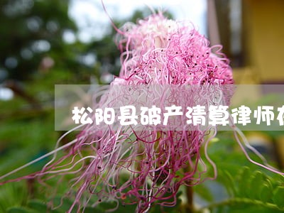 松阳县破产清算律师在线免费咨询 松阳县破产清算律师在线免费咨询