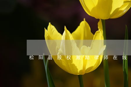 松阳县股权激励律师在线免费咨询 松阳县股权激励律师在线免费咨询