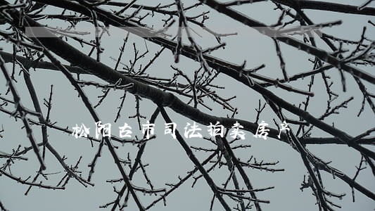 松阳古市司法拍卖房产 松阳古市司法拍卖房产