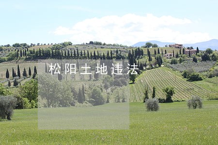 松阳土地违法 松阳土地违法