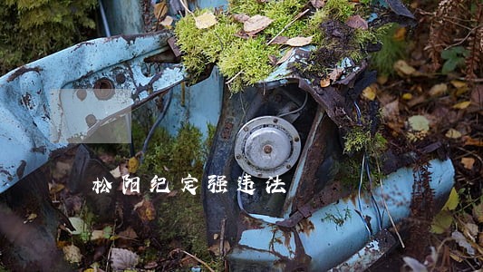 松阳纪定强违法 松阳纪定强违法