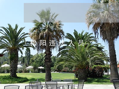松阳违法人员