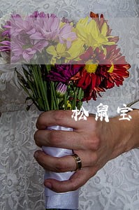 松鼠宝分期逾期 松鼠宝分期逾期