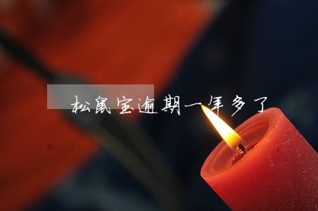 松鼠宝逾期一年多了 松鼠宝逾期一年多了