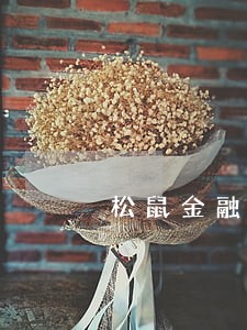 松鼠金融逾期 松鼠金融逾期
