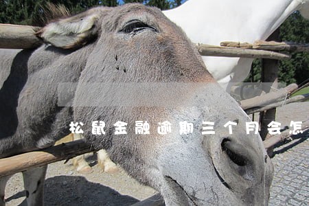 松鼠金融逾期三个月会怎样 松鼠金融逾期三个月会怎样