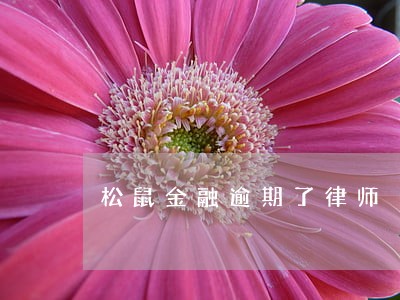 松鼠金融逾期了律师 松鼠金融逾期了律师