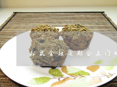 松鼠金融逾期会上门吗 松鼠金融逾期会上门吗