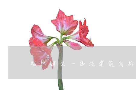 板桥镇又一违法建筑自拆 板桥镇又一违法建筑自拆