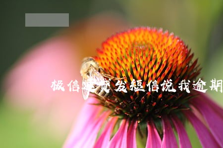 极信速贷发短信说我逾期 极信速贷发短信说我逾期