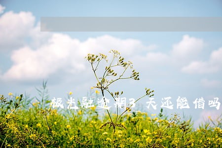 极光融逾期3天还能借吗 极光融逾期3天还能借吗
