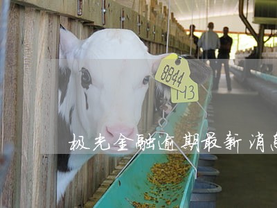 极光金融逾期最新消息 极光金融逾期最新消息