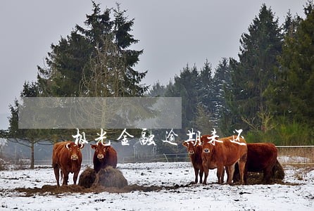 极光金融逾期未还 极光金融逾期未还