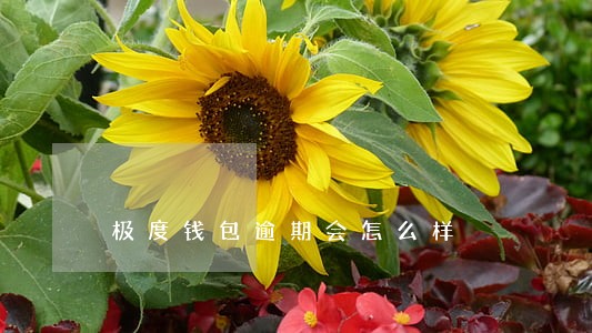 极度钱包逾期会怎么样 极度钱包逾期会怎么样