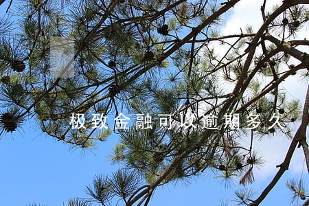 极致金融可以逾期多久 极致金融可以逾期多久