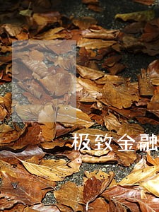 极致金融逾期用汇款吗 极致金融逾期用汇款吗